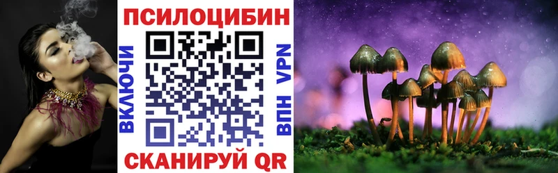 как найти закладки  Нолинск  Галлюциногенные грибы ЛСД 